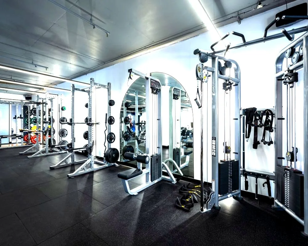 Premium gym and health club interior
