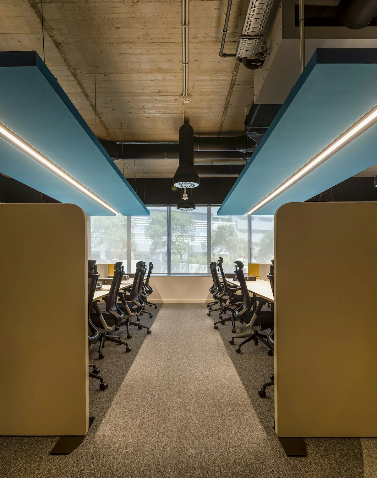 Open-plan office with acoustic ceiling rafts